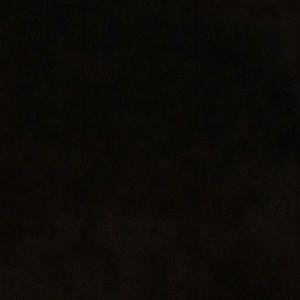 Meet your Posher, Craig